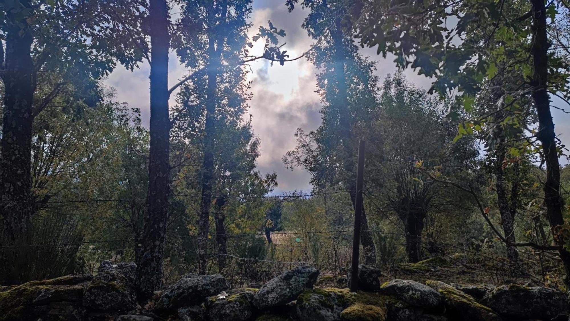 El Rincon De Gredos Pensionat Navaluenga Eksteriør billede